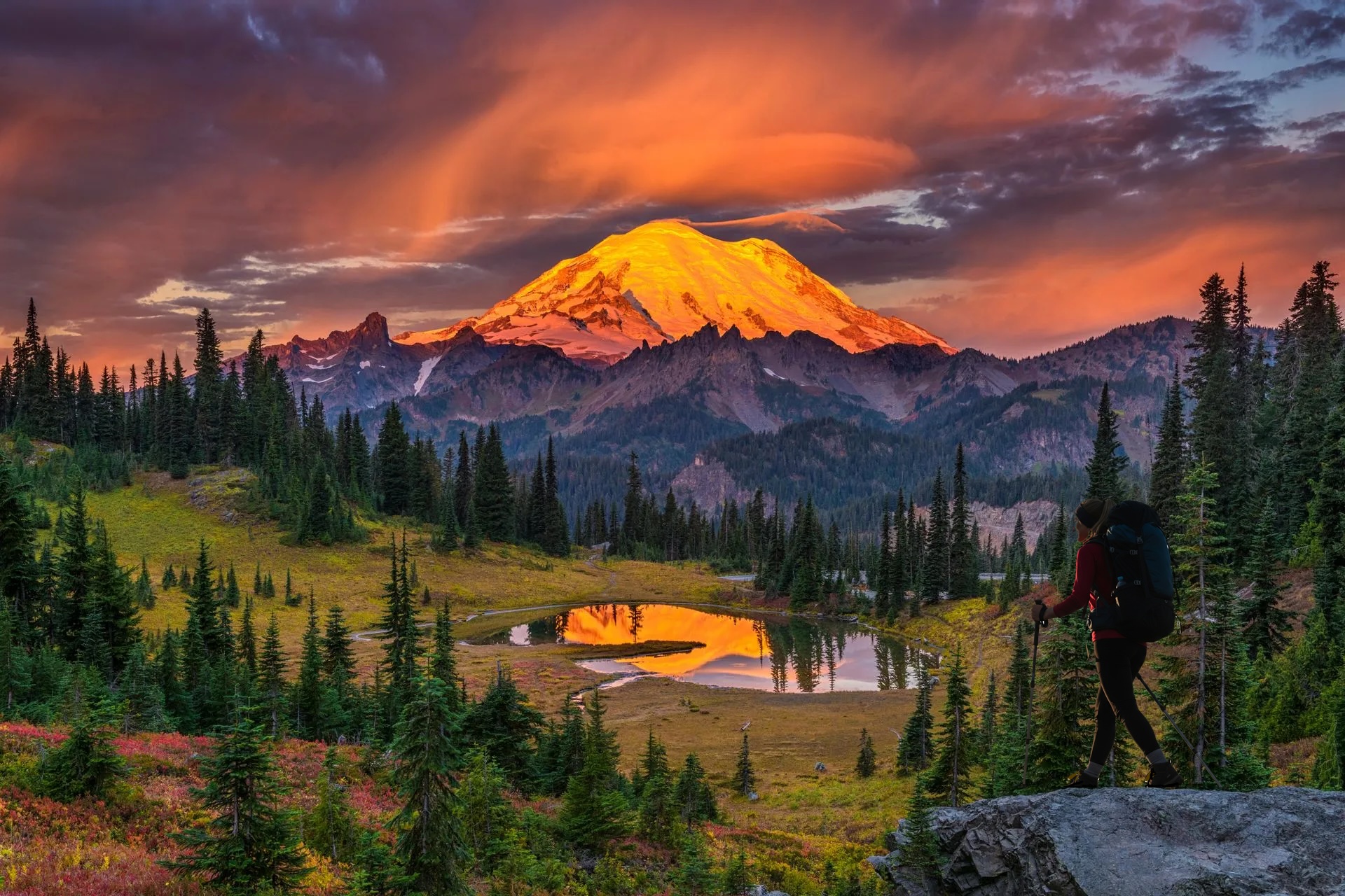 Mt Ranier copy
